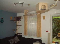Kočičí strom /škrabadlo/kočka/koťata/odpočívadlo