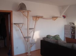 Kočičí strom /škrabadlo/kočka/koťata/odpočívadlo