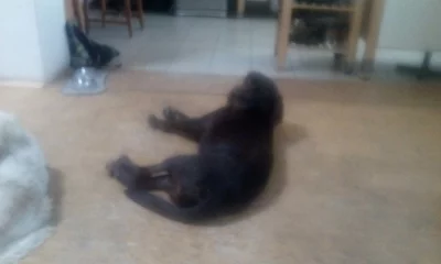 Daruji Fouska 2 roky
