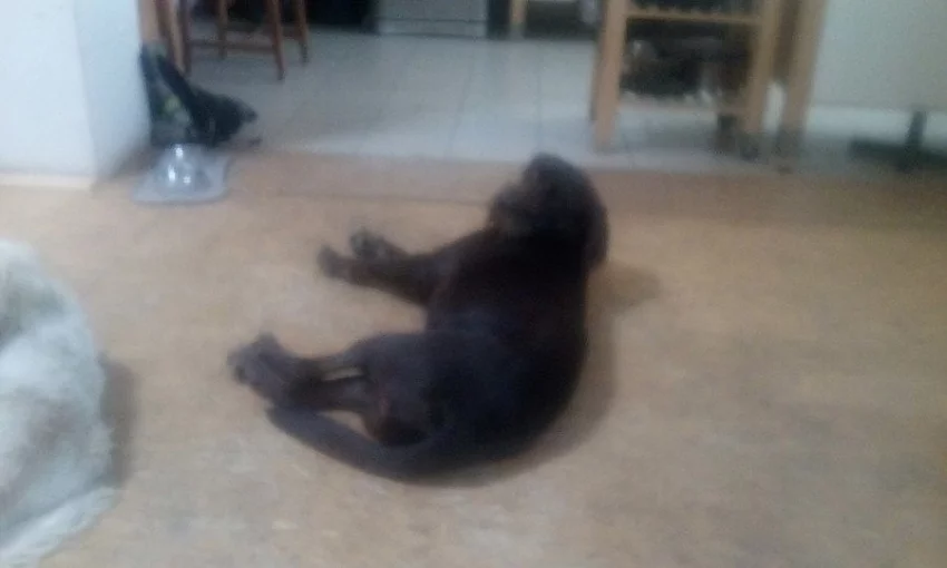 Daruji Fouska 2 roky