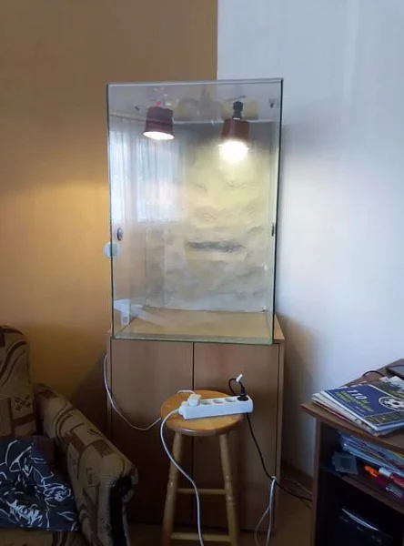 Terárium pro chameleona