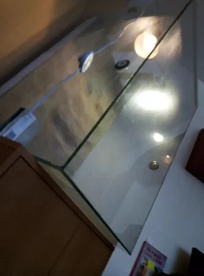 Terárium pro chameleona