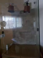 Terárium pro chameleona