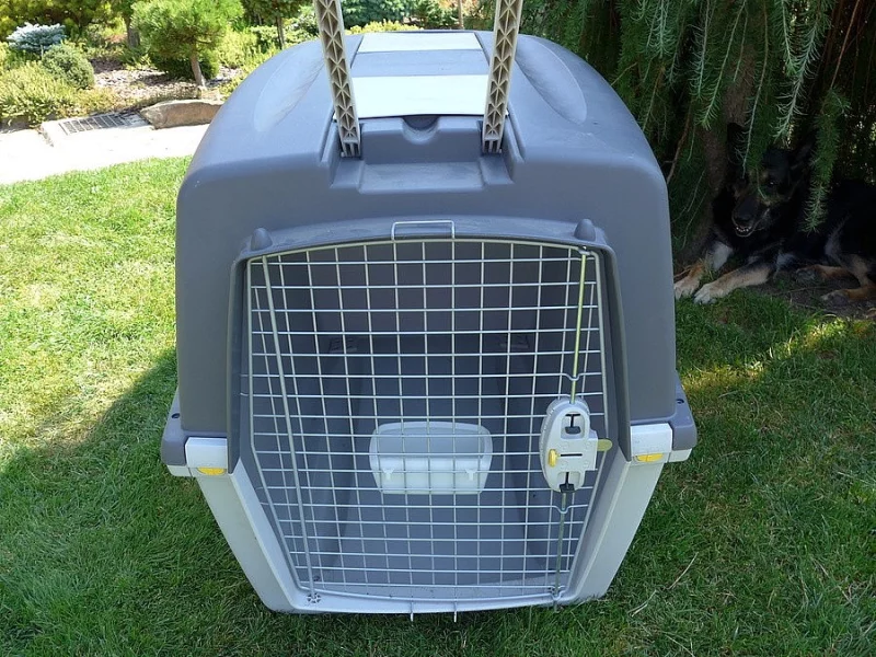 Přepravní box pro psy Gulliver 7