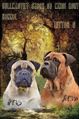 Bullmastiff