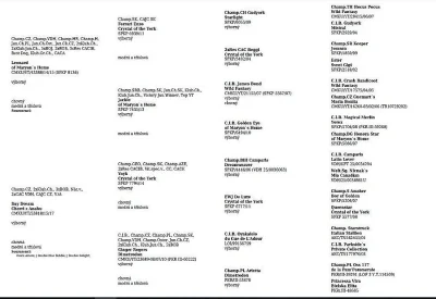 Yorkšírský terier s PP