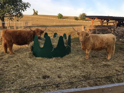 Highland