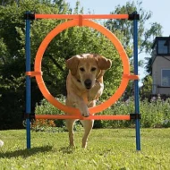 Prodám sadu cvičných překážek na agility