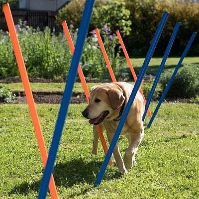 Prodám sadu cvičných překážek na agility