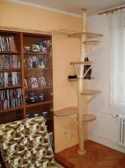 Kočičí strom /škrabadlo/kočka/koťata/odpočívadlo