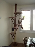 Kočičí strom /škrabadlo/kočka/koťata/odpočívadlo