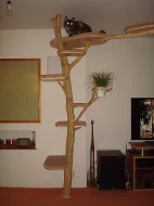Kočičí strom /škrabadlo/kočka/koťata/odpočívadlo