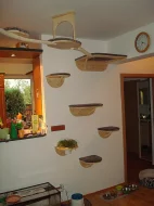 Kočičí strom /škrabadlo/kočka/koťata/odpočívadlo