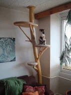 Kočičí strom /škrabadlo/kočka/koťata/odpočívadlo