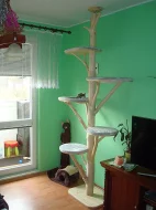 Kočičí strom /škrabadlo/kočka/koťata/odpočívadlo