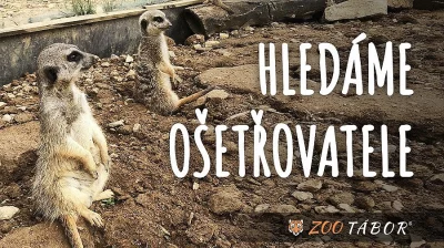 Ošetřovatel zvířat v Zoologické zahradě Tábor