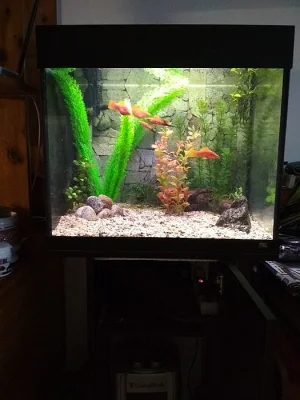 Prodám akvarijní komplet Lido Juwel