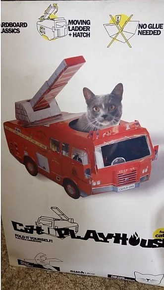 Auto pro kočku