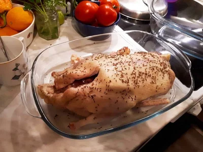 Kachny vykrmené v kuchyňské úpravě prodám