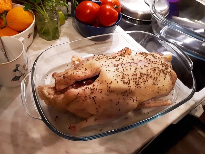 Kachny vykrmené v kuchyňské úpravě prodám