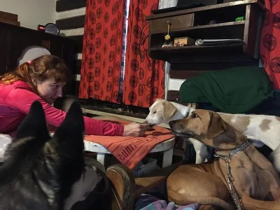 Jednooký pejsek Mandásek hledá domov