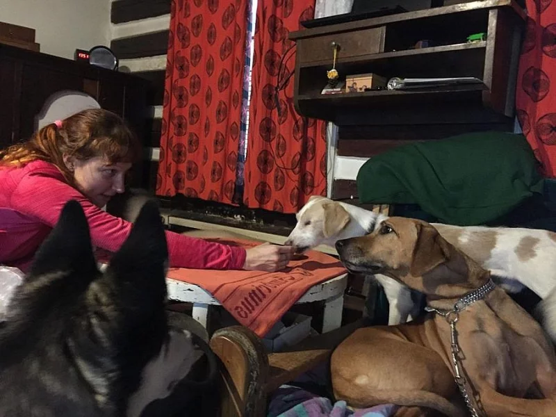 Jednooký pejsek Mandásek hledá domov