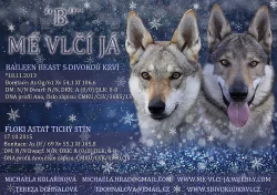 Československý vlčák s PP