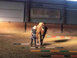 Paint Horse - valach na prodej