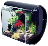 Designové akvárium s výbavou