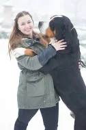 Veľký švajčiarsky salašnícky pes