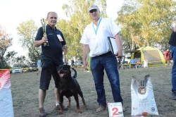 Rotvajler štěňata s PP