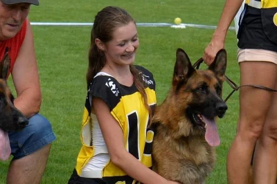 Prodám štěňata Německého ovčáka s PP