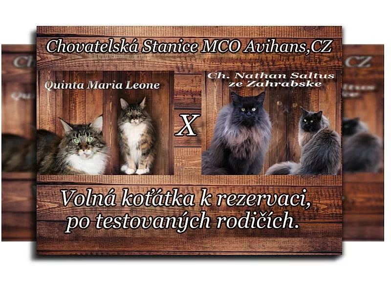 Chovatelská stanice MCO Avihans,CZ