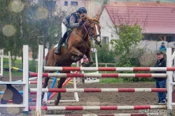 Prodám klisničku po Galandro ZH