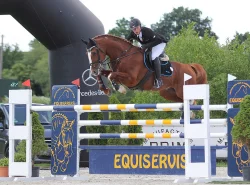 Prodám klisničku po Galandro ZH