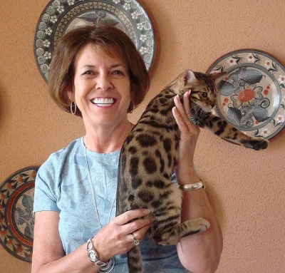 TICA-registroval v bengálských koťat