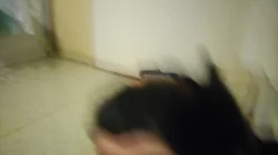 Prodám miminka králíčku