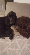 Ricci & Rio