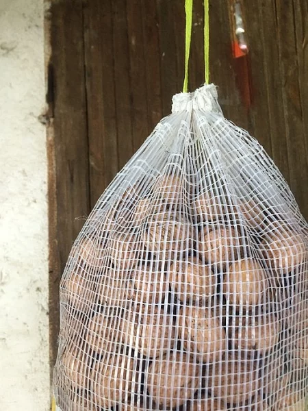 Násadová zelená slepičí vejce a vlašské ořechy