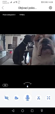 IP kamera pro sledování mazlíčka přes mobil