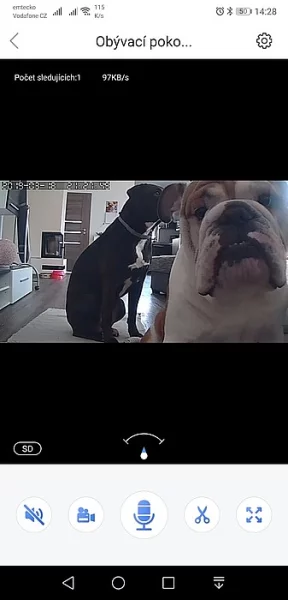 IP kamera pro sledování mazlíčka přes mobil