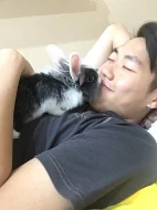 Prodam dva lvicky