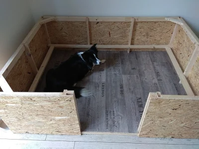 Porodní bedna-box pro štěňata