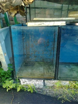 akvaria