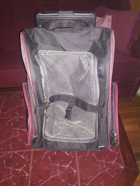 Přepravka pro kočku