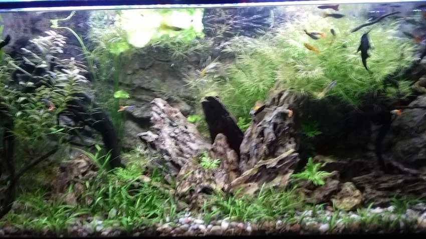 AKVARIUM 300L+ 576L DIVERSA OBĚ
