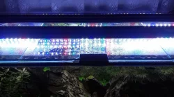 AKVARIUM 300L+ 576L DIVERSA OBĚ