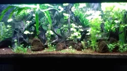 AKVARIUM 300L+ 576L DIVERSA OBĚ