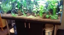 AKVARIUM 300L+ 576L DIVERSA OBĚ