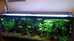 AKVARIUM 300L+ 576L DIVERSA OBĚ